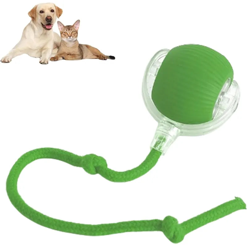 Harley Smart Rolling Play Ball
