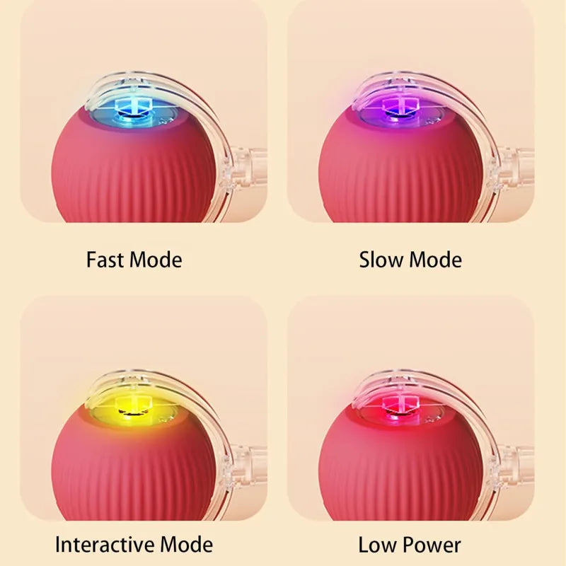 Harley Smart Rolling Play Ball