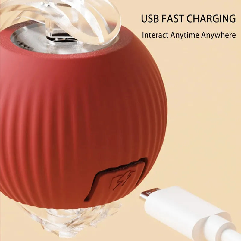 Harley Smart Rolling Play Ball