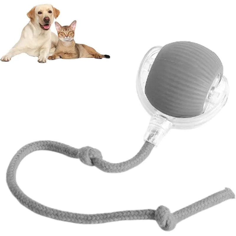 Harley Smart Rolling Play Ball