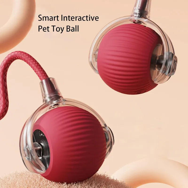 Harley Smart Rolling Play Ball