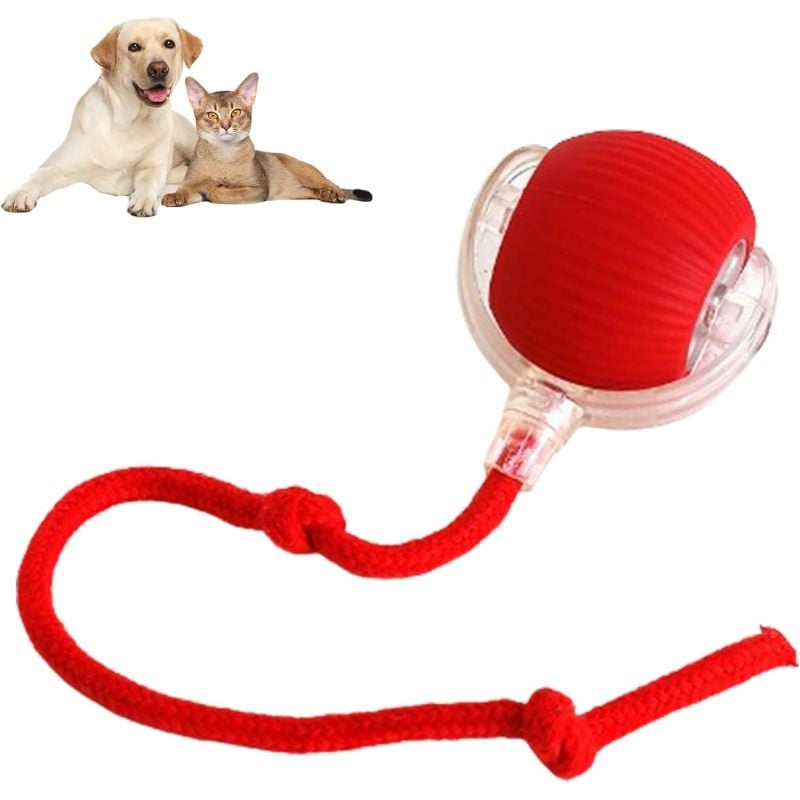 Harley Smart Rolling Play Ball